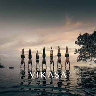 Planoly Creator Store | Vikasa Yoga Retreat